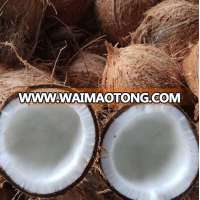 Semi Husked Coconut from Pollachi