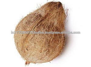 Pollachi Semi Husked Coconuts